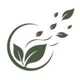 logo_feuilles_transparent_4B5945